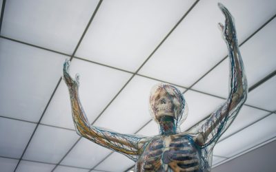 The Vagus Nerves & Anxiety